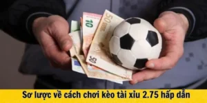 Cách Chơi Kèo 2.75 Tại BongDaLu Chuẩn Xác Và Hiểu Đúng Từng Tình Huống