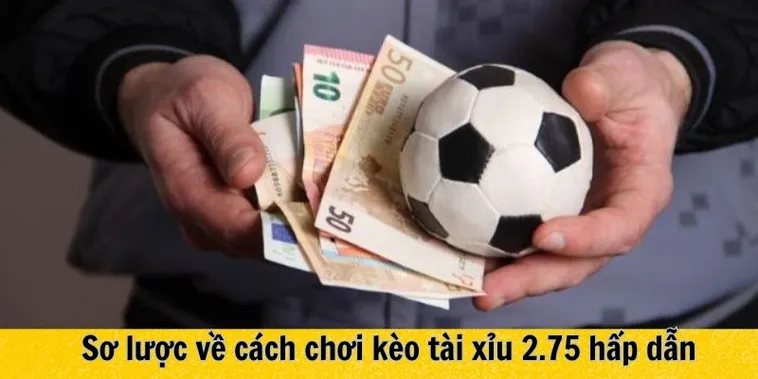Cách Chơi Kèo 2.75 Tại BongDaLu Chuẩn Xác Và Hiểu Đúng Từng Tình Huống