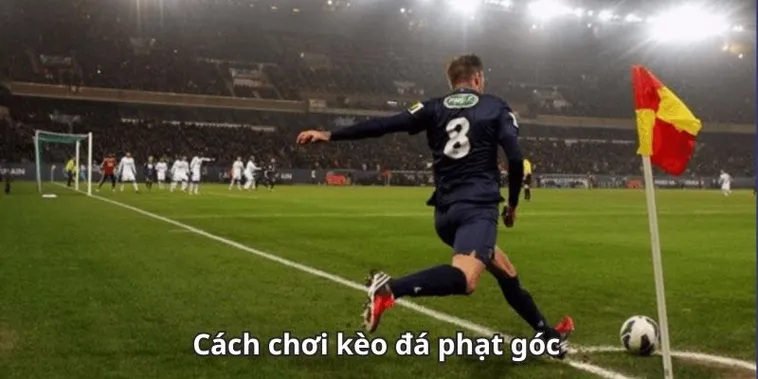 Cách Chơi Kèo Phạt Góc Bóng Đá Tại BongDaLu Hiểu Quả Và Chính Xác Nhất