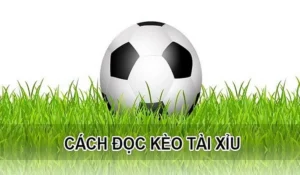 Cách Chơi Kèo Tài Xỉu Tại BongDaLu Hiệu Quả Và Chính Xác Nhất