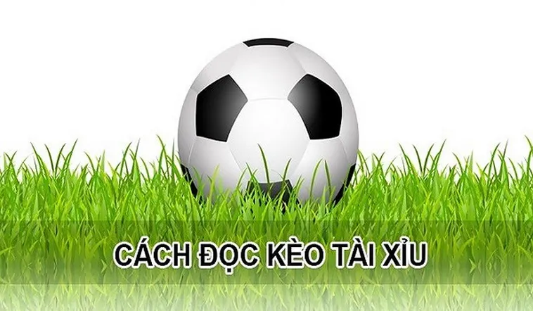 Cách Chơi Kèo Tài Xỉu Tại BongDaLu Hiệu Quả Và Chính Xác Nhất