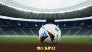 Cách Chơi Kèo Chấp 0.5 Tại BongDaLu Hiệu Quả Nhất Cho Người Mới
