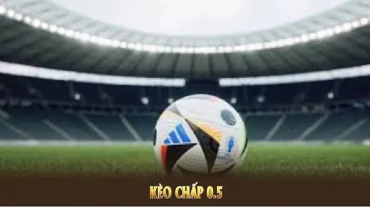 Cách Chơi Kèo Chấp 0.5 Tại BongDaLu Hiệu Quả Nhất Cho Người Mới