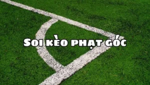 Cách Chơi Kèo Phạt Góc Bóng Đá Tại BongDaLu Hiểu Quả Và Chính Xác Nhất