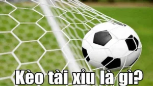 Cách Chơi Kèo Tài Xỉu Bóng Đá Tại BongDaLu Chuẩn Xác Cho Người Mới