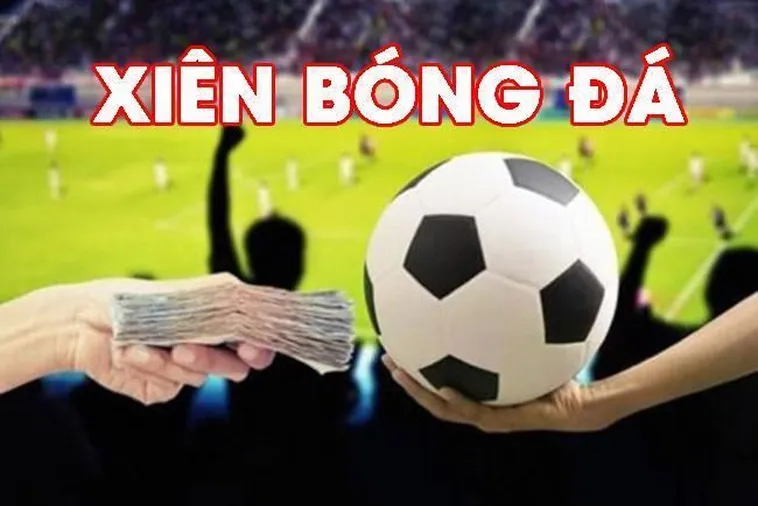 Cách Chơi Kèo Xiên Trong Bóng Đá Tại BongDaLu Cho Người Mới Hiểu Nhanh